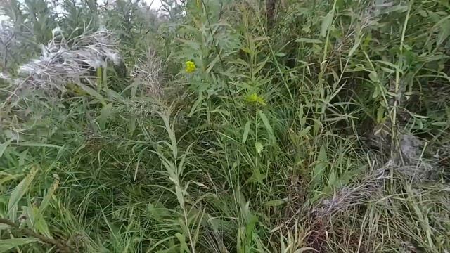 Сопровождение V.I.P-а.Страйкбол Нижний Тагил смотреть онлайн