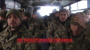 Живых пограничников ВСУ с острова Змеиный доставили в Севастополь