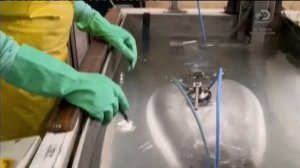 Мотоцикл Royal Enfield Continental GT   Из чего это сделано