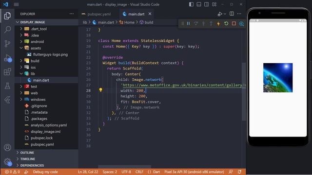Flutter Tutorial - Display image in Flutter