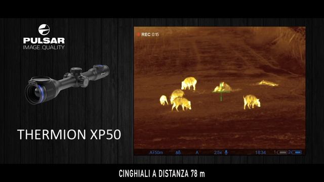 Pulsar Axion XQ38 vs Thermion XP50 смотреть онлайн
