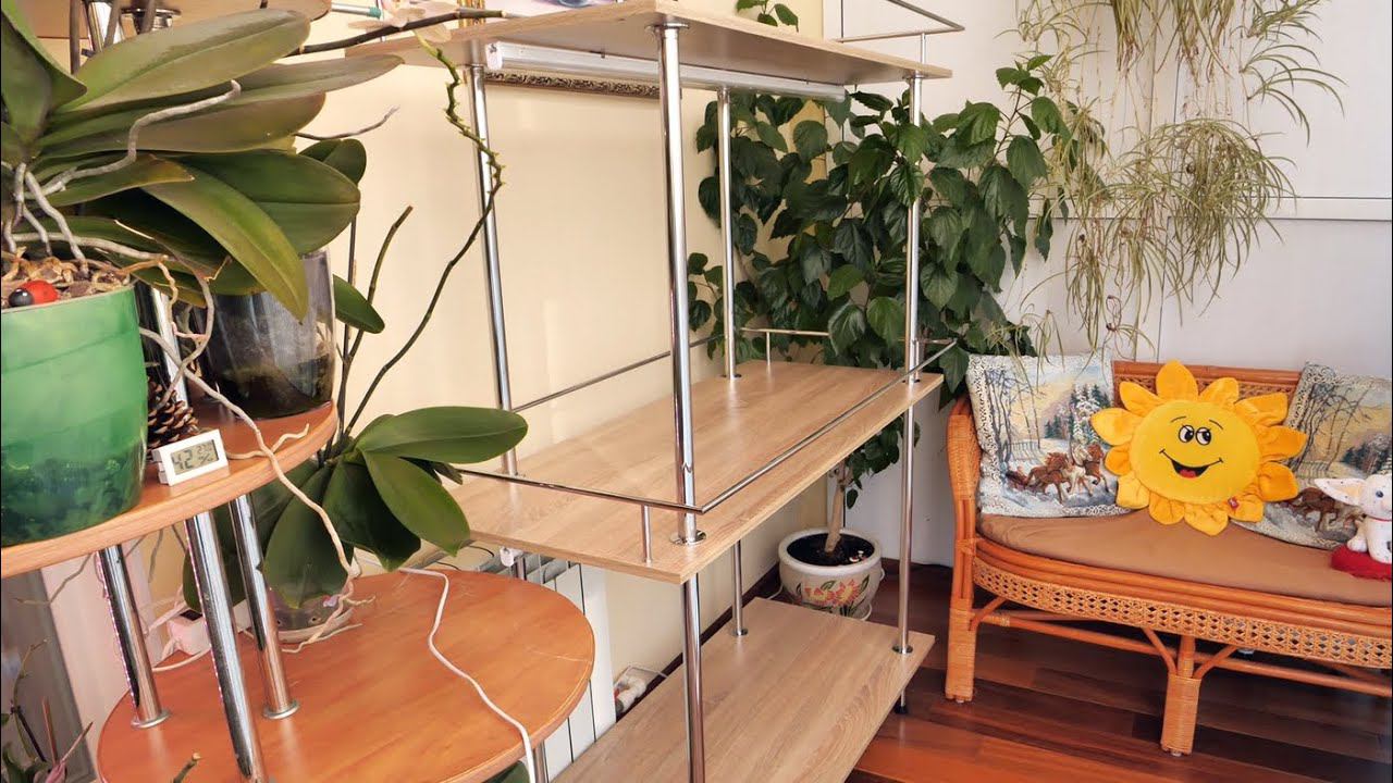 Орхидеи. Стеллаж ЧТО НАДО!!! НЕТ ПАДЕНИЮ орхидей! Часть 2. смотреть онлайн