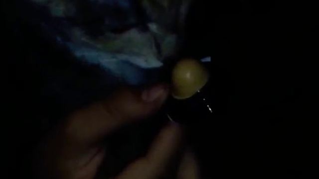 Конфеты для кошек (реакция Кнопа) смотреть онлайн