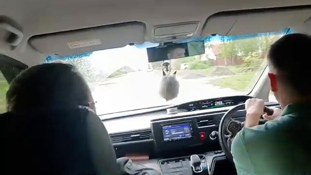 Я ПОДАРЮ ВАМ РОМАШКИ