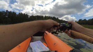 Первые впечатления от Piscifun Alijos