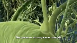 Послание с Плеяд: Зов к Пробуждению