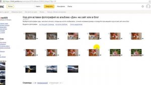 Как размещать изображения на форум с Яндекс фоток.