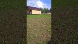 Небольшой обзор нашего участка!  Практически без изменений, но всё же что то уже есть!.mp4