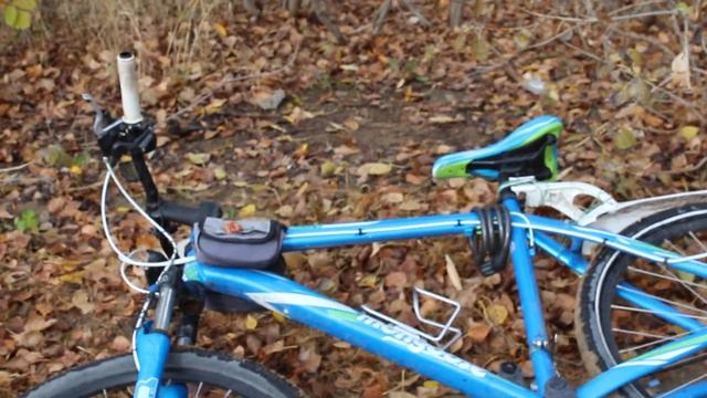 Белка делает запасы на зиму. Омск, парк "зеленый остров" 1) смотреть онлайн