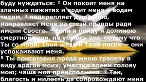 Псалом 22. (Юлия Салтаненко.) Христианское прославление.