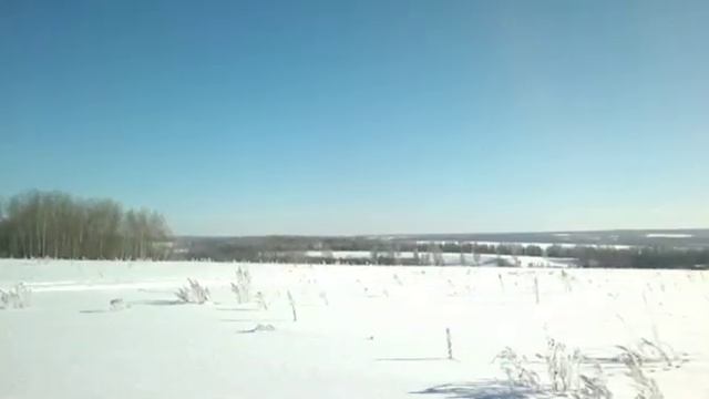 Трофи-прицеп для квадроцикла и снегохода. смотреть онлайн