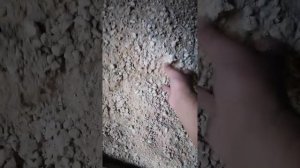 Суперпластификатор