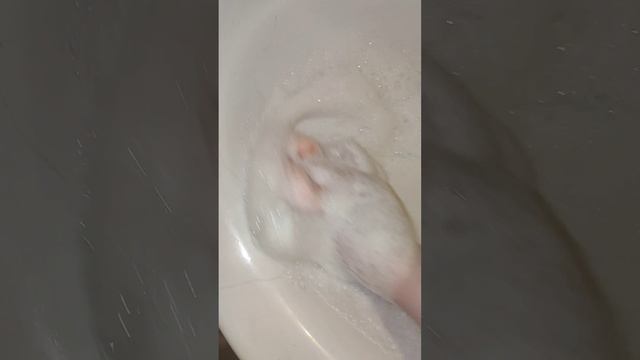 asmr ?cleantok? cleaning? amazing? babl ??