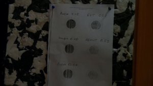 МР553к финал -домашний тир..какой вес пули подходит..хороший прицел...винтовка готова!