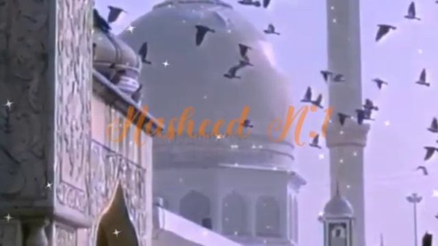 Nasheed  Mustafa Mustafa. Нашид Мустафа Мустафа nasheed  нашид mustafa