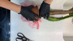 Пересадка кактуса. И помните: все кактусы суккуленты, но не все суккуленты - кактусы!)