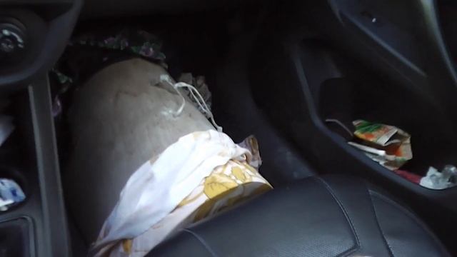 Нам отдали рой пчёл смотреть онлайн