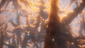 Как СПОРТ влияет на наш организм, ПОЛЬЗА ИЛИ ВРЕД?