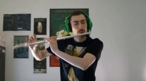 Sword Art Online - Crossing Field - Flute Cover