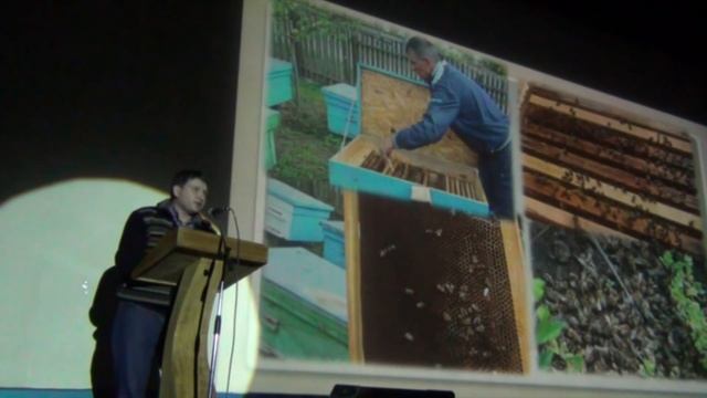 ОТРАВЛЕНИЕ ПЧЕЛ ПЕСТИЦИДАМИ, ЧТО ДЕЛАТЬ ЕСЛИ ОТРАВИЛИ ПЧЕЛ