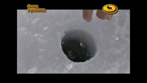 Ловля карася зимой на мормышку  Рыбалка в декабре, январе, феврале