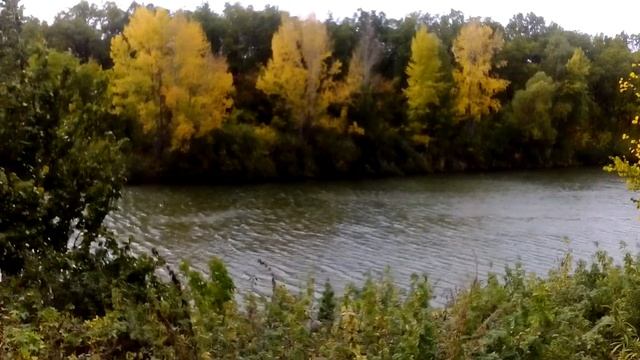 Столетние дубы смотреть онлайн