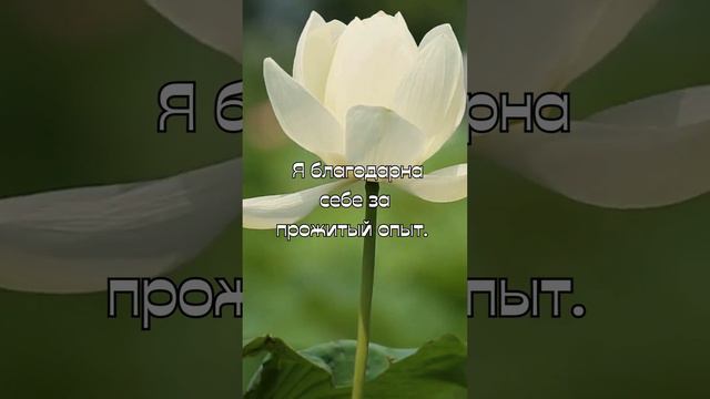 Практика на познание себя #психология #психолог #психологияотношений #психологиясчастья
#shorts смотреть онлайн