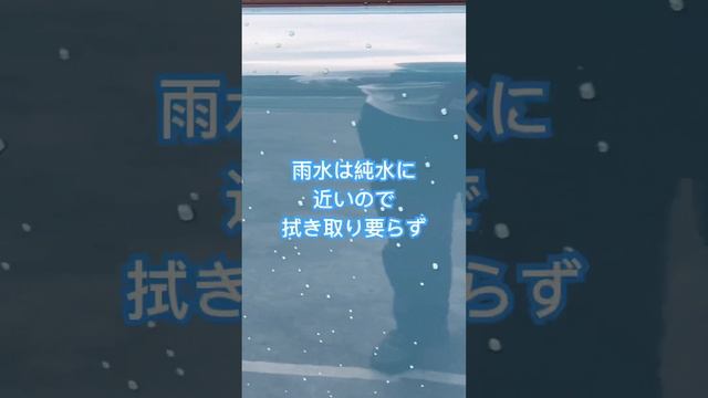 洗車は雨の日に！ #ハスラー #洗車機#拭きあげ不用です。 смотреть онлайн