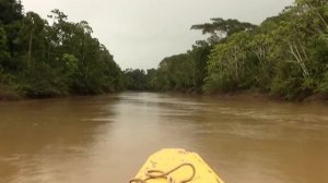 River; Rainforest; Amazonia. Река, Экваториальный лес, Амазония (1805sp)