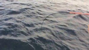Лакедра слоуджиг Владивосток, slow jigging hiramasa, Рыбалка Владивосток