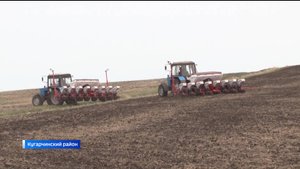 Сезон завершается: аграрии 6-ти районов Башкирии выполнили посевные работы более чем на 90 процентов