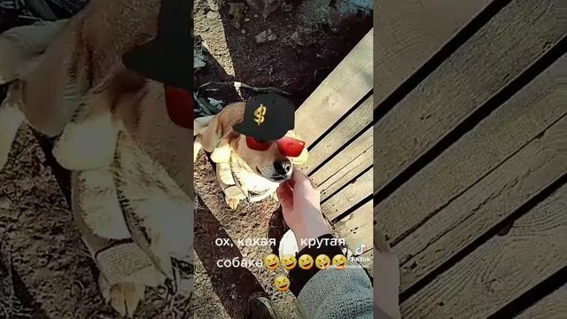 Дама при понтах.mp4