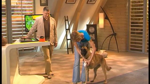 Диалоги о Животных. Дрессура. S01E01