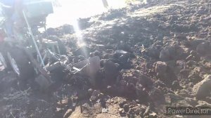 Пахота конным плугом в засуху