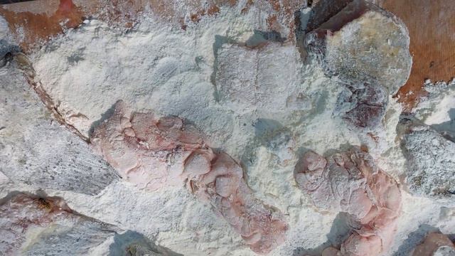 Астрахань 2023. 2 часть. Как жарить рыбу на костре или рассказ о вкусной и нездоровой пище ) смотреть онлайн