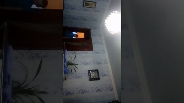 Играем угадай животное