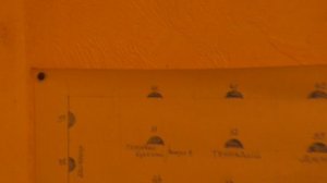 Виноград к ш Щелкунчик на різних подвоях.