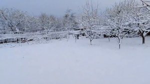 Дышите глубже😍 Кубань🧡😊  Снег порвал сетки😎Жизнь в своем доме🐔🌹🧡