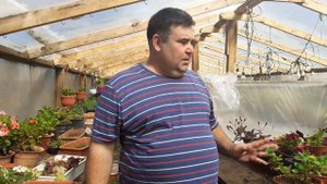 САМЫЕ МОДНЫЕ ПЕТУНИИ КАК СОХРАНИТЬ ЗИМОЙ