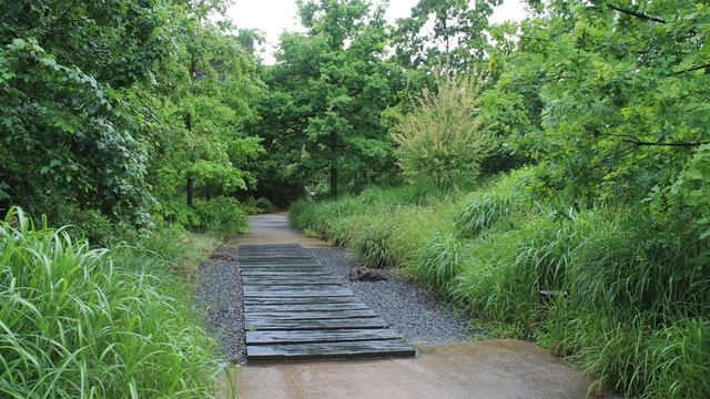Инновации. Природа в городе. Париж. 2014 смотреть онлайн
