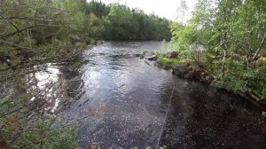 Рыбалка в Карелии. Медвежьегорский район