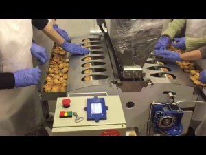 Видео работы машины для полуавтоматического формирования орешков и наполнения их начинкой