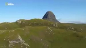 Дикая природа Шотландии  Высокогорье  Лето