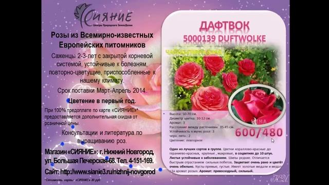 Каталог роз Тантау (Tantau) 2014 (Нижний Новгород, Клуб Сияние) смотреть онлайн