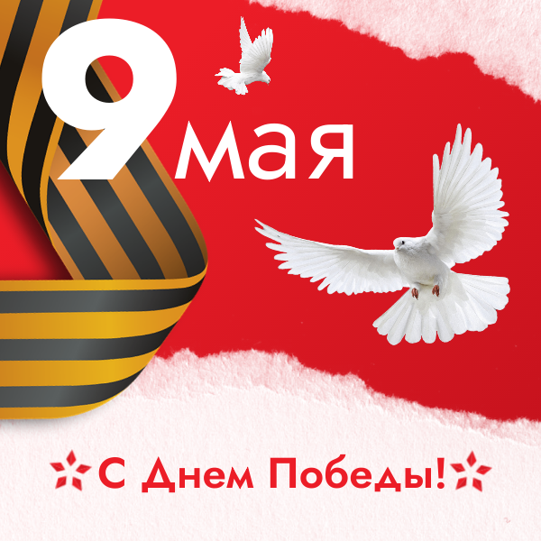 video5336772739619374479