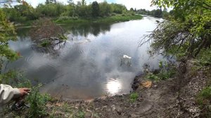 рыбалка спиннинг ловим окуня в реке воронеж два часа удовольствия