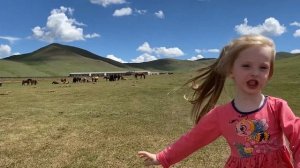 Как добраться из России во Вьетнам 2022. Сколько стоит. (Санкт-Петербург - Владивосток - Нячанг)