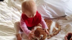 И смех, и слезы, и любовь