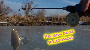 За ротаном на пруд