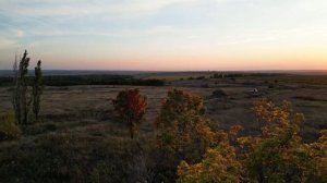 Осенняя зарисовка. Осенняя природа. Золотая осень. Видео для релакса 4К.